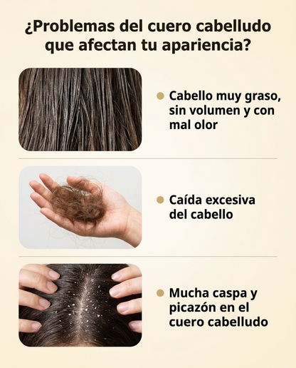 Champú Anticaída Capilar