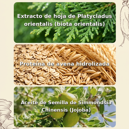 Champú Anticaída Capilar