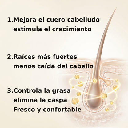 Champú Anticaída Capilar